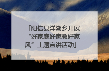 阳信县洋湖乡开展“好家庭好家教好家风”主题宣讲活动