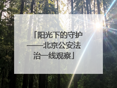 阳光下的守护——北京公安法治一线观察