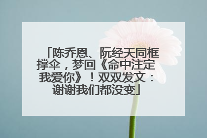 陈乔恩、阮经天同框撑伞，梦回《命中注定我爱你》！双双发文：谢谢我们都没变