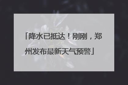 降水已抵达！刚刚，郑州发布最新天气预警