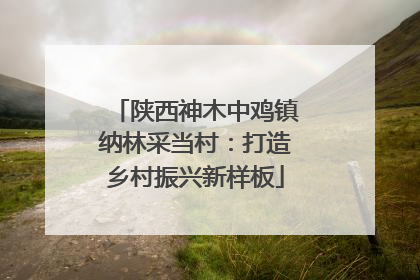 陕西神木中鸡镇纳林采当村：打造乡村振兴新样板