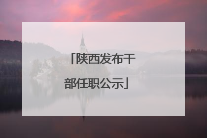 陕西发布干部任职公示