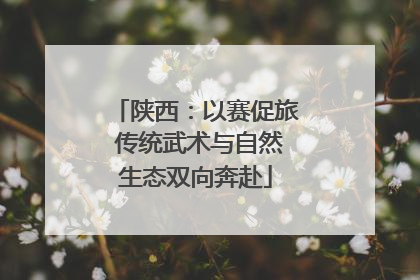 陕西：以赛促旅 传统武术与自然生态双向奔赴