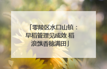 零陵区水口山镇：早稻管理见成效 稻浪飘香穗满田