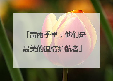 雷雨季里，他们是最美的温情护航者