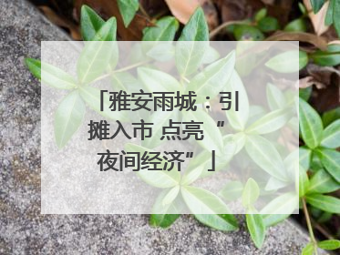 雅安雨城：引摊入市 点亮“夜间经济”