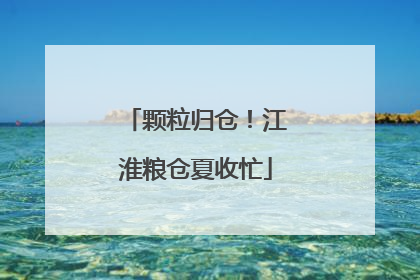 颗粒归仓！江淮粮仓夏收忙