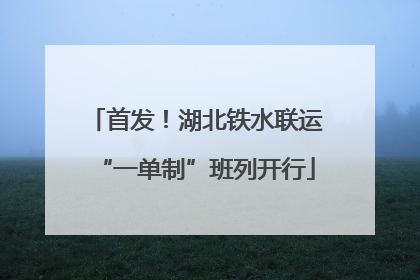 首发！湖北铁水联运“一单制”班列开行