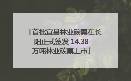 首批宜昌林业碳票在长阳正式签发 14.38万吨林业碳票上市