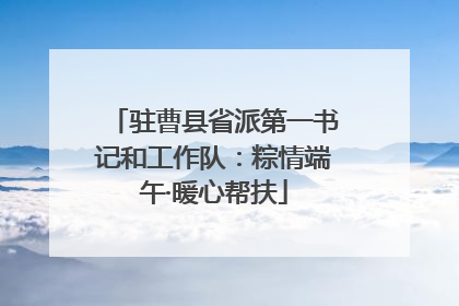 驻曹县省派第一书记和工作队：粽情端午·暖心帮扶