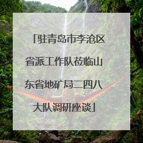 驻青岛市李沧区省派工作队莅临山东省地矿局二四八大队调研座谈