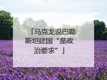 马克龙说巴勒斯坦建国“是政治要求”