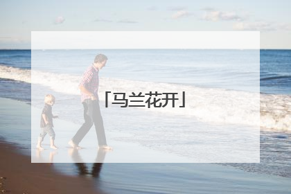 马兰花开