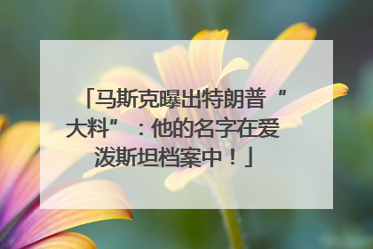 马斯克曝出特朗普“大料”：他的名字在爱泼斯坦档案中！