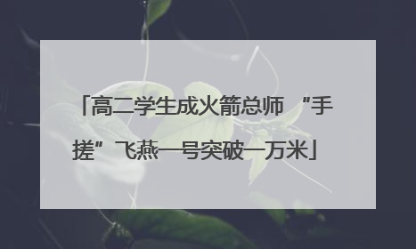 高二学生成火箭总师 “手搓”飞燕一号突破一万米