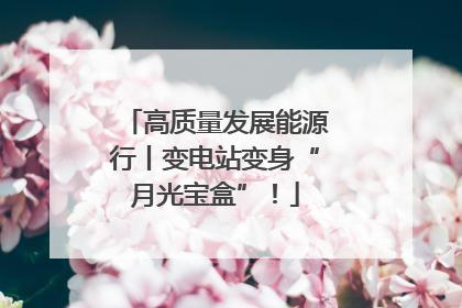 高质量发展能源行丨变电站变身“月光宝盒”！