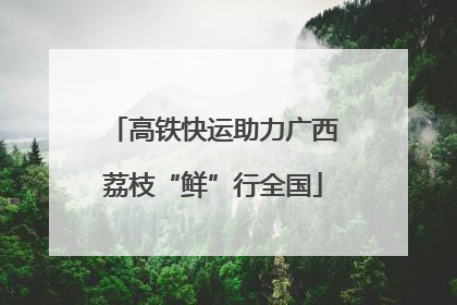 高铁快运助力广西荔枝“鲜”行全国