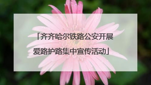 齐齐哈尔铁路公安开展爱路护路集中宣传活动