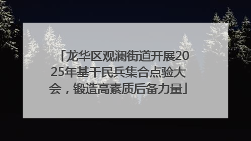 龙华区观澜街道开展2025年基干民兵集合点验大会，锻造高素质后备力量