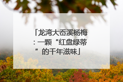 龙湾大岙溪杨梅：一颗“红盘绿蒂”的千年滋味