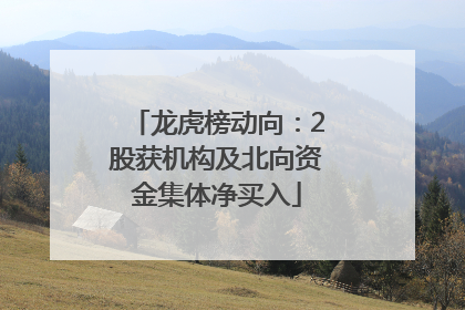 龙虎榜动向：2股获机构及北向资金集体净买入