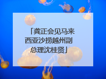 龚正会见马来西亚沙捞越州副总理沈桂贤