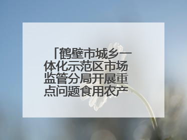 鹤壁市城乡一体化示范区市场监管分局开展重点问题食用农产品专项整治