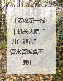 麦收第一线｜机关大院“开门迎麦”，管水管饭真不赖