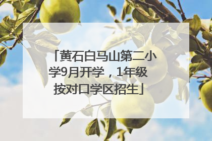 黄石白马山第二小学9月开学，1年级按对口学区招生