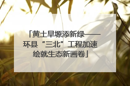 黄土旱塬添新绿——环县“三北”工程加速绘就生态新画卷
