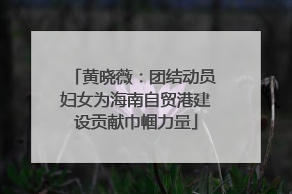 黄晓薇：团结动员妇女为海南自贸港建设贡献巾帼力量