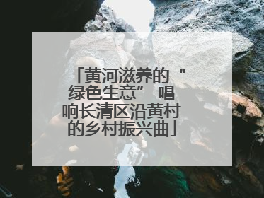 黄河滋养的“绿色生意” 唱响长清区沿黄村的乡村振兴曲
