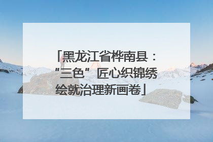 黑龙江省桦南县：“三色”匠心织锦绣 绘就治理新画卷