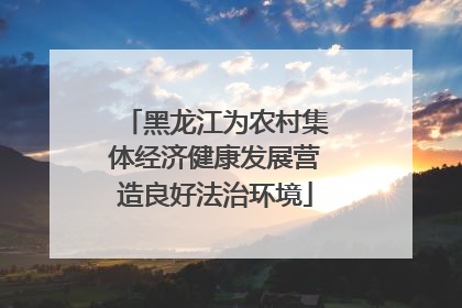 黑龙江为农村集体经济健康发展营造良好法治环境