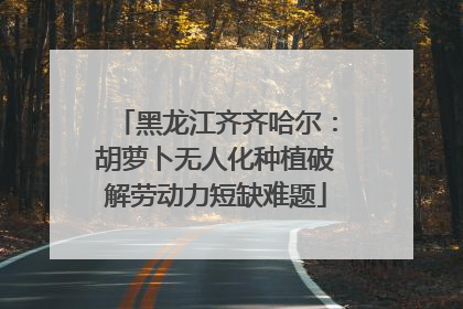黑龙江齐齐哈尔：胡萝卜无人化种植破解劳动力短缺难题