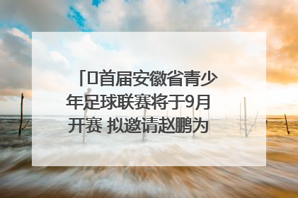 ﻿首届安徽省青少年足球联赛将于9月开赛 拟邀请赵鹏为先导赛开球