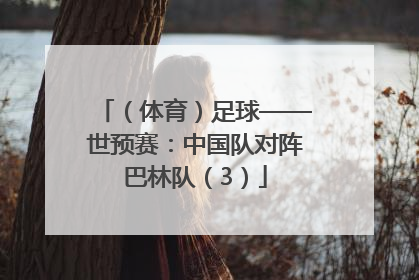（体育）足球——世预赛：中国队对阵巴林队（3）