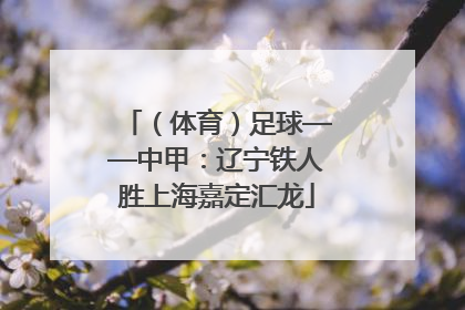 （体育）足球——中甲：辽宁铁人胜上海嘉定汇龙