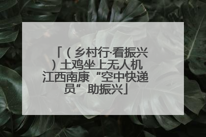 （乡村行·看振兴）土鸡坐上无人机 江西南康“空中快递员”助振兴