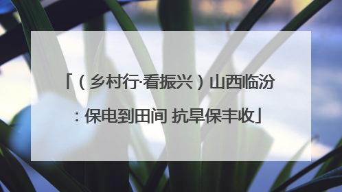 （乡村行·看振兴）山西临汾：保电到田间 抗旱保丰收