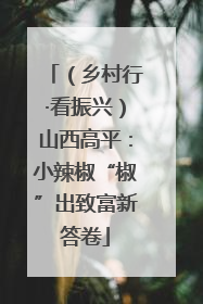 （乡村行·看振兴）山西高平：小辣椒“椒”出致富新答卷