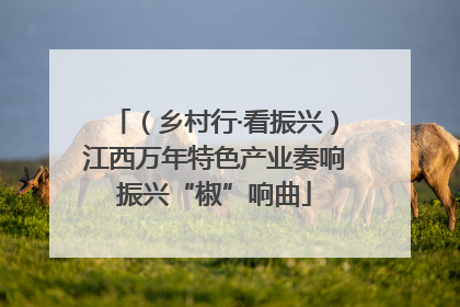 （乡村行·看振兴）江西万年特色产业奏响振兴“椒”响曲