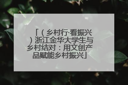 （乡村行·看振兴）浙江金华大学生与乡村结对：用文创产品赋能乡村振兴