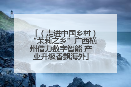 （走进中国乡村）“茉莉之乡”广西横州借力数字智能 产业升级香飘海外