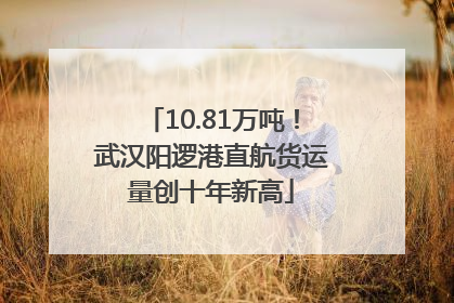 10.81万吨！武汉阳逻港直航货运量创十年新高
