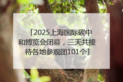 2025上海国际碳中和博览会闭幕，三天共接待各地参观团101个