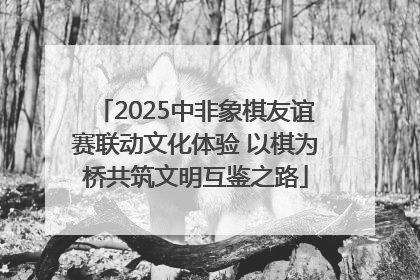 2025中非象棋友谊赛联动文化体验 以棋为桥共筑文明互鉴之路