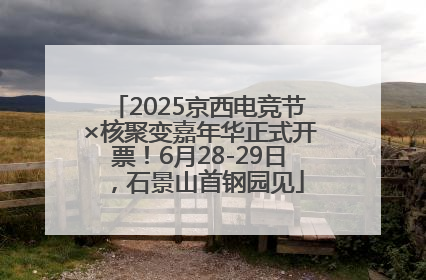 2025京西电竞节×核聚变嘉年华正式开票！6月28-29日，石景山首钢园见