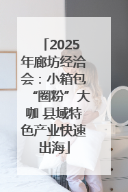2025年廊坊经洽会：小箱包“圈粉”大咖 县域特色产业快速出海