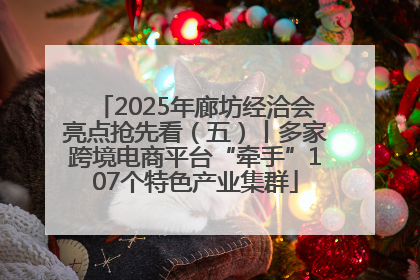 2025年廊坊经洽会亮点抢先看（五）丨多家跨境电商平台“牵手”107个特色产业集群